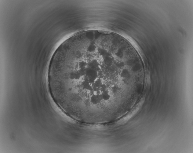 X0000110700957200906121331