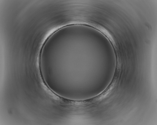 X0000110700958200906121331