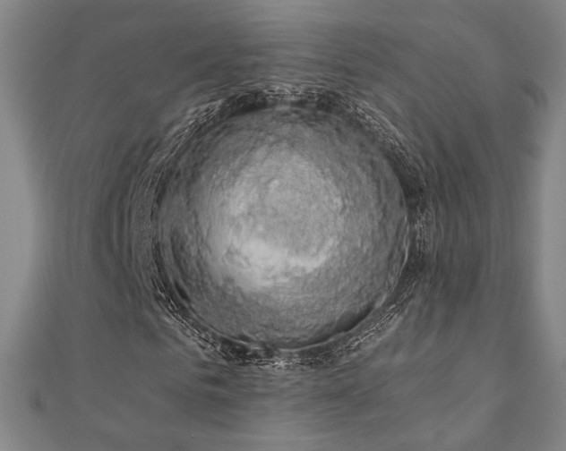 X0000110700961200906121330