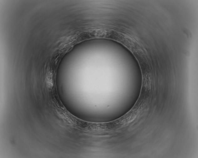 X0000110700962200906121330