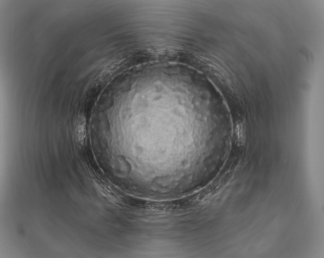 X0000110700963200906121330
