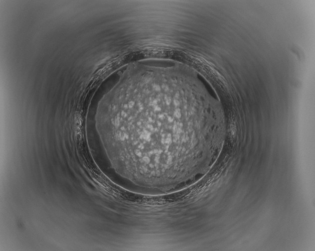 X0000110700964200906121330