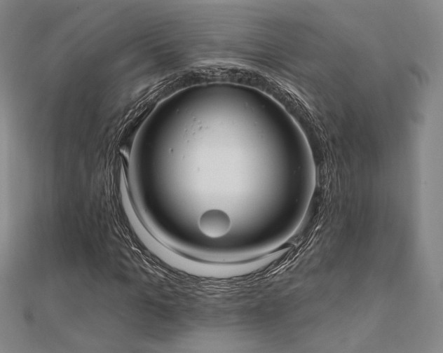 X0000110700965200906121330