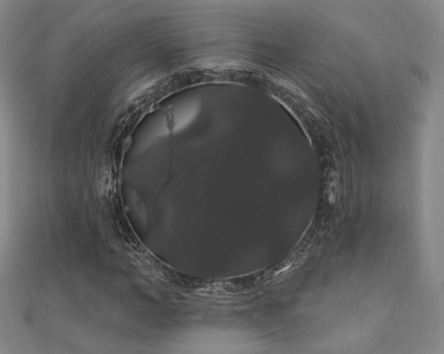 X0000110700966200906121330