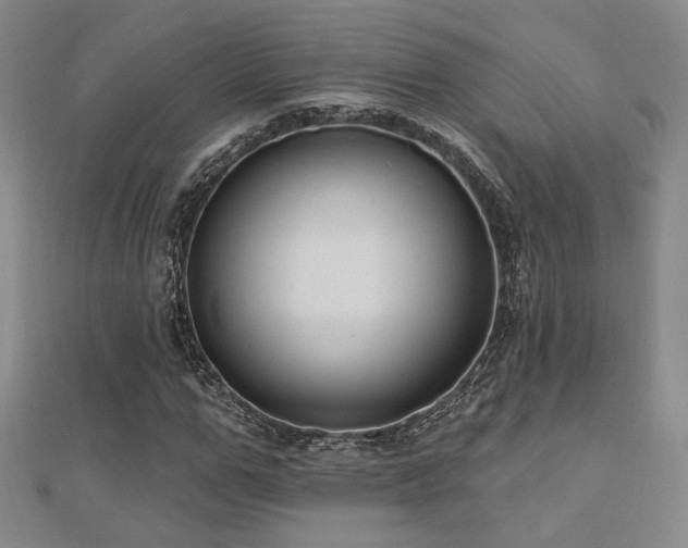 X0000110700967200906121330