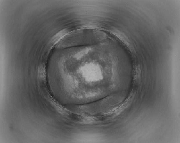 X0000110700969200906121330