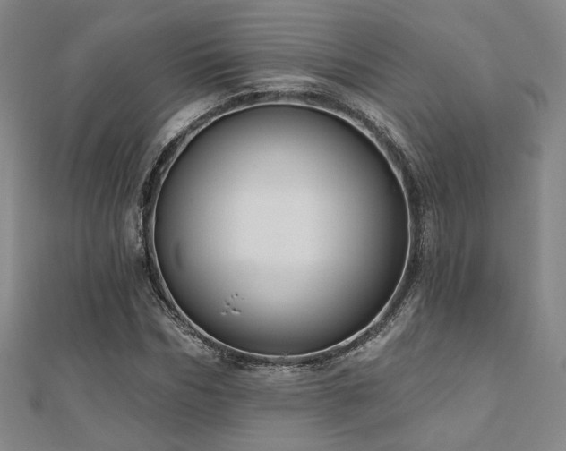 X0000110700970200906121330