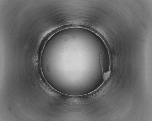 X0000110700971200906121330