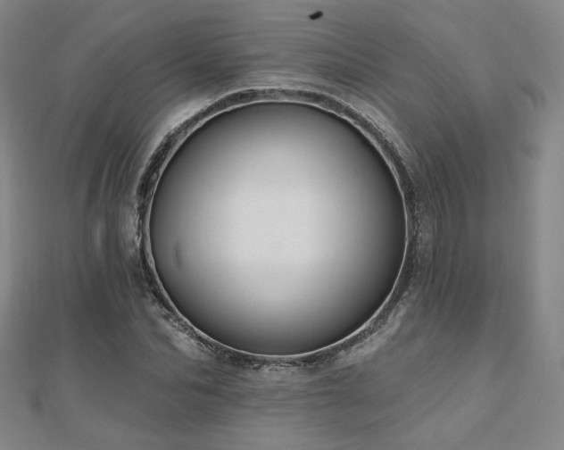 X0000110700974200906121330