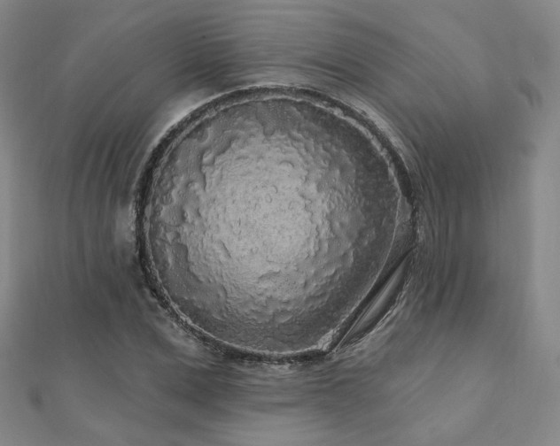 X0000110700975200906121330