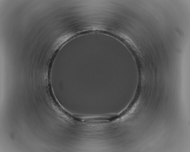 X0000110700977200906121330