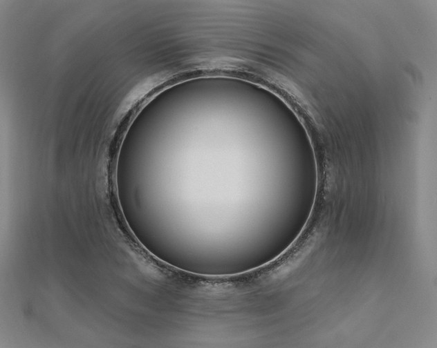 X0000110700978200906121330