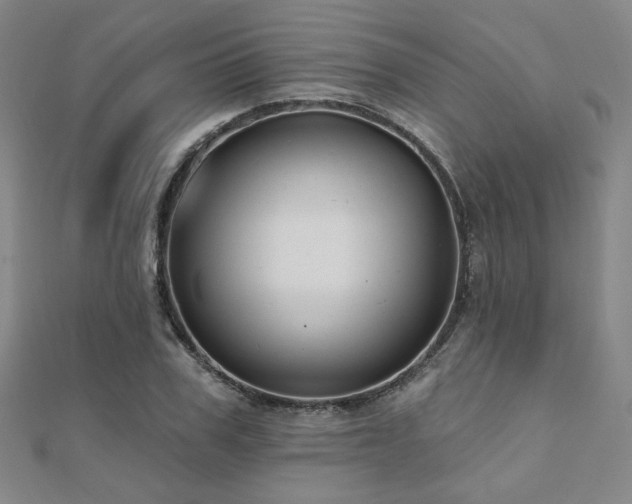 X0000110700979200906121330