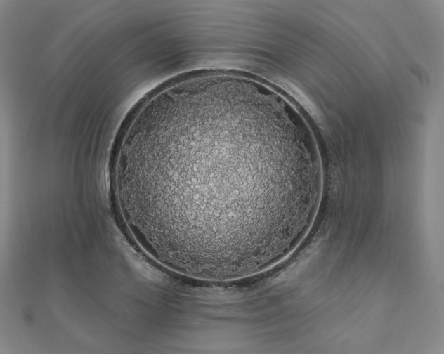 X0000110700980200906121330