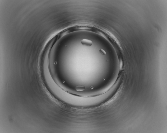 X0000110700981200906121330