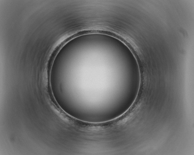 X0000110700982200906121330