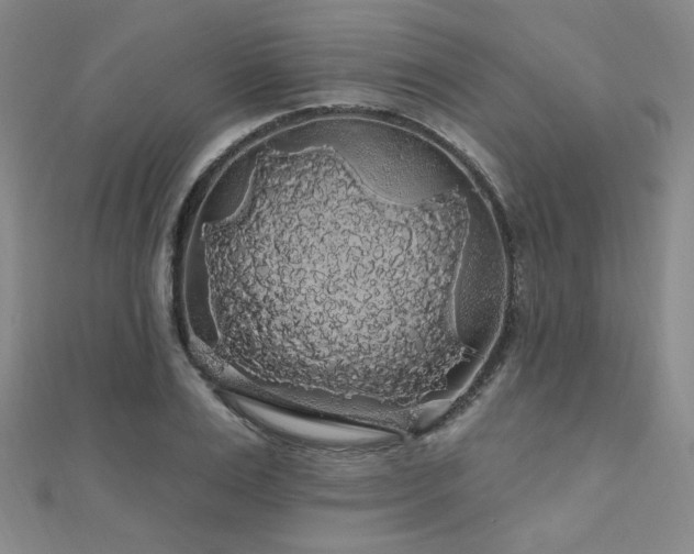 X0000110700983200906121330
