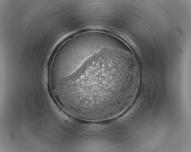 X0000110700984200906121330