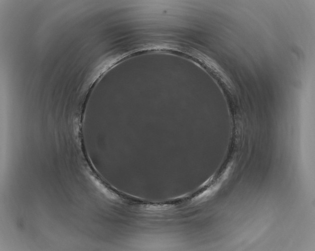 X0000110700985200906121330