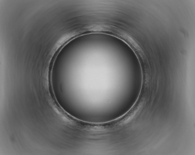 X0000110700986200906121330