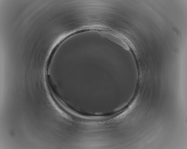 X0000110700989200906121330