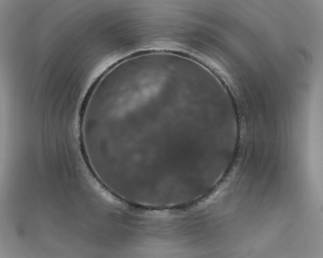 X0000110700990200906121330
