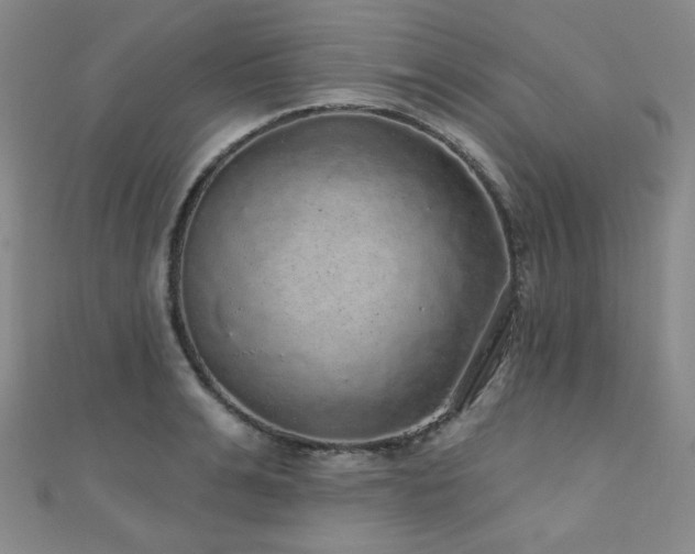 X0000110700991200906121330