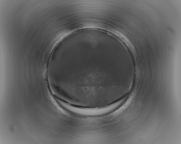X0000110700993200906121330