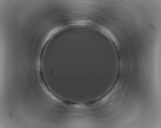 X0000110700994200906121330