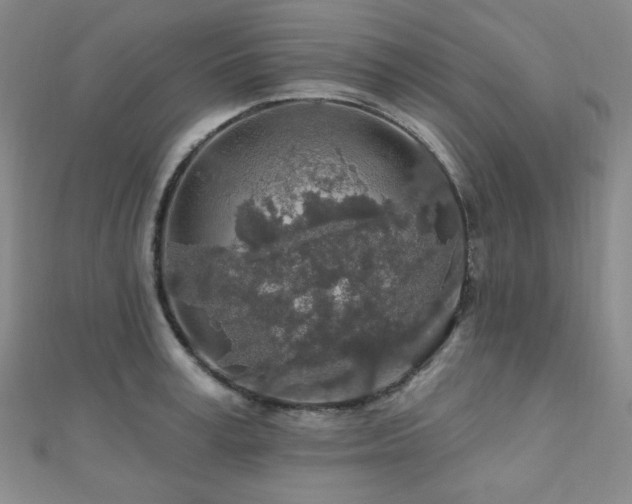 X0000110700995200906121330