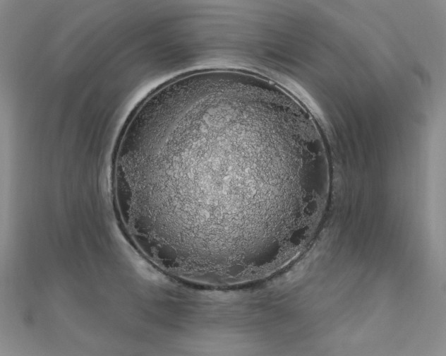 X0000110700996200906121330