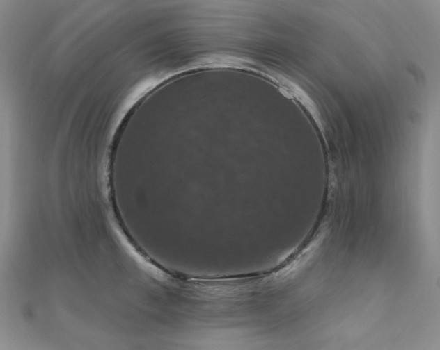 X0000110700997200906121330