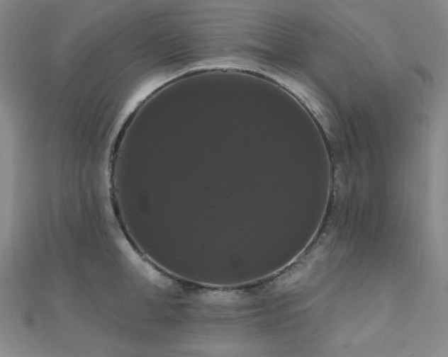 X0000110700998200906121330