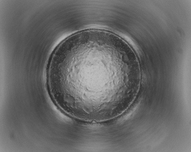 X0000110700999200906121330
