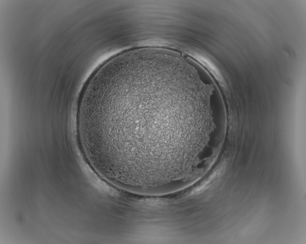 X0000110701000200906121330
