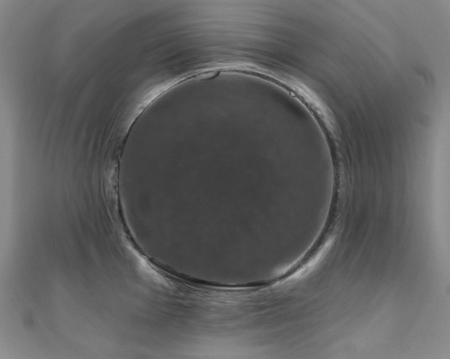 X0000110701001200906121330