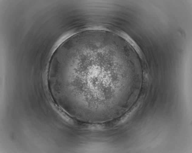 X0000110701002200906121330