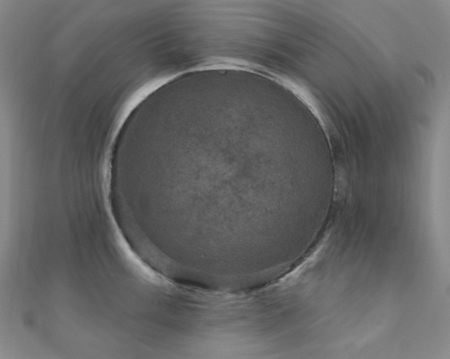 X0000110701003200906121330
