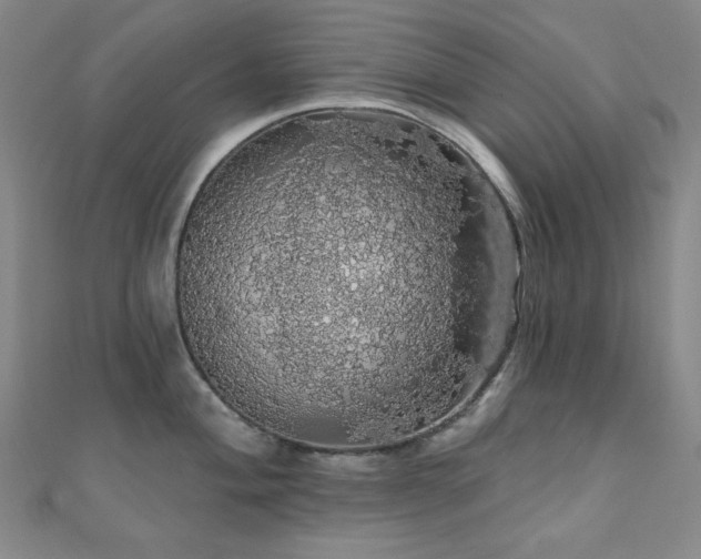 X0000110701004200906121330
