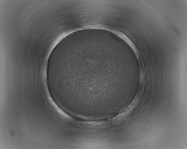 X0000110701005200906121330