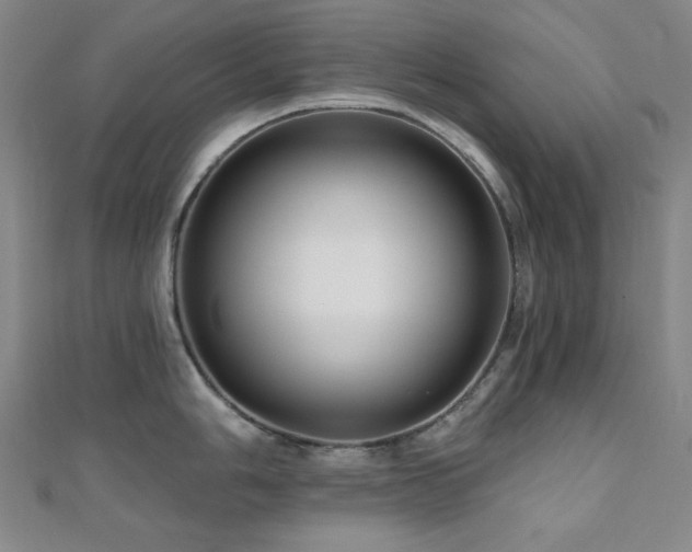 X0000110701006200906121330