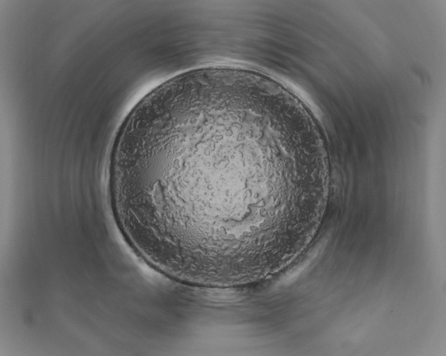X0000110701007200906121329