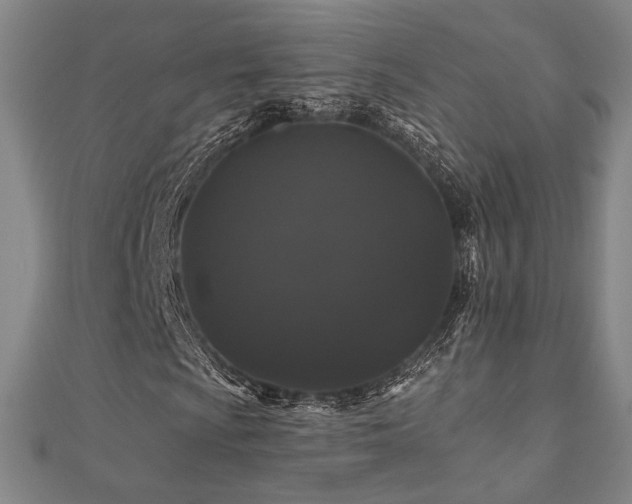 X0000110701009200906121329