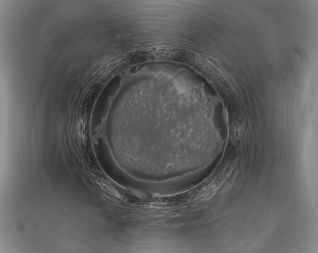 X0000110701010200906121329