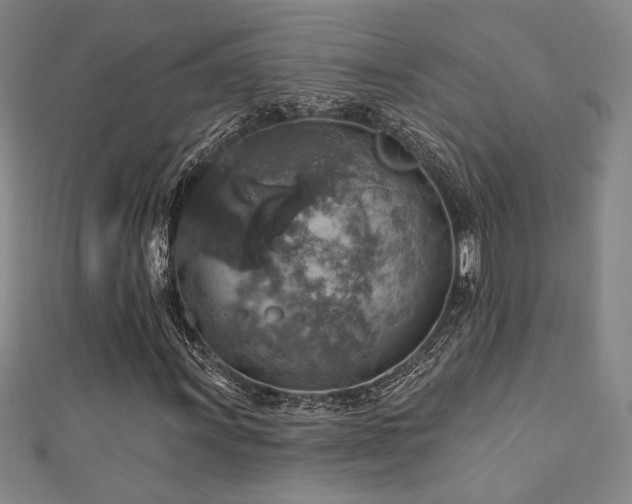 X0000110701011200906121329