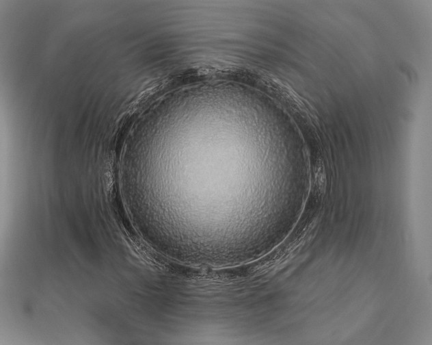 X0000110701012200906121329