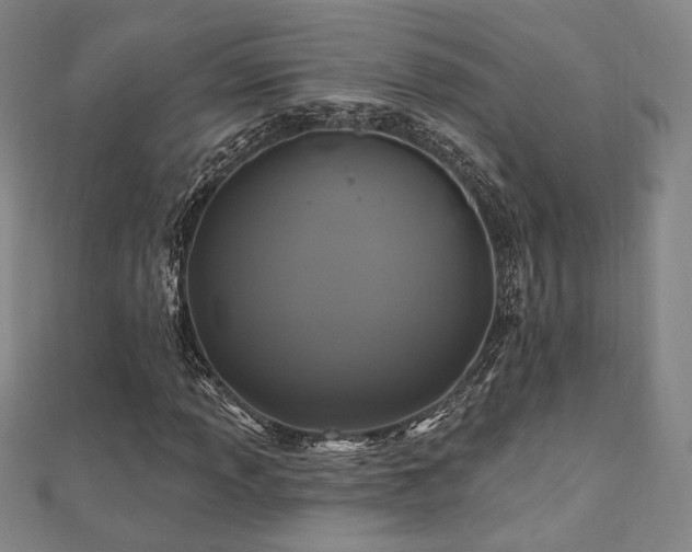 X0000110701013200906121329