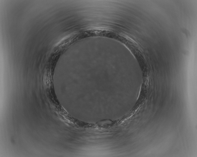 X0000110701014200906121329