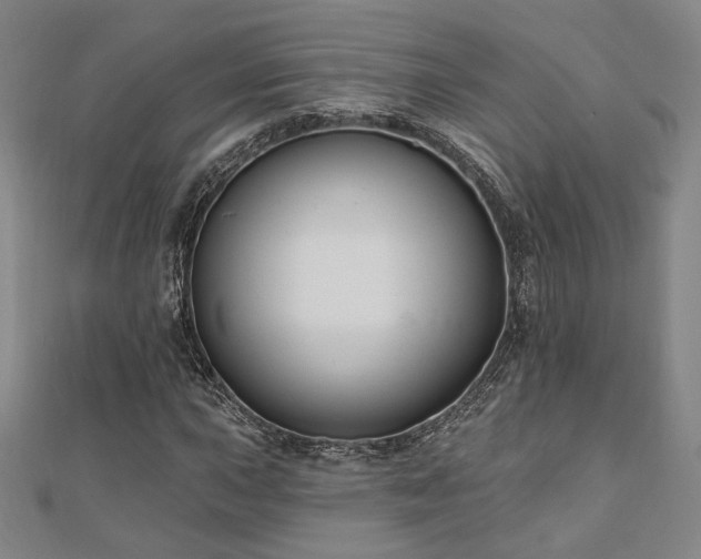 X0000110701015200906121329