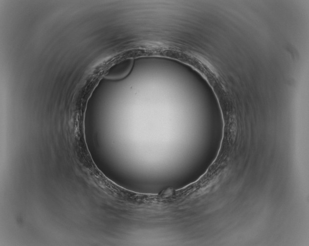 X0000110701016200906121329